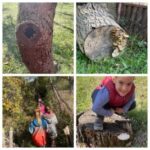 Priča o projektu: “Svaka biljka ima neku moć”